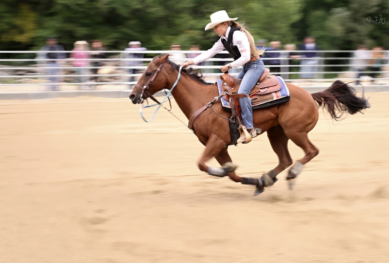 rodeo2012 242web